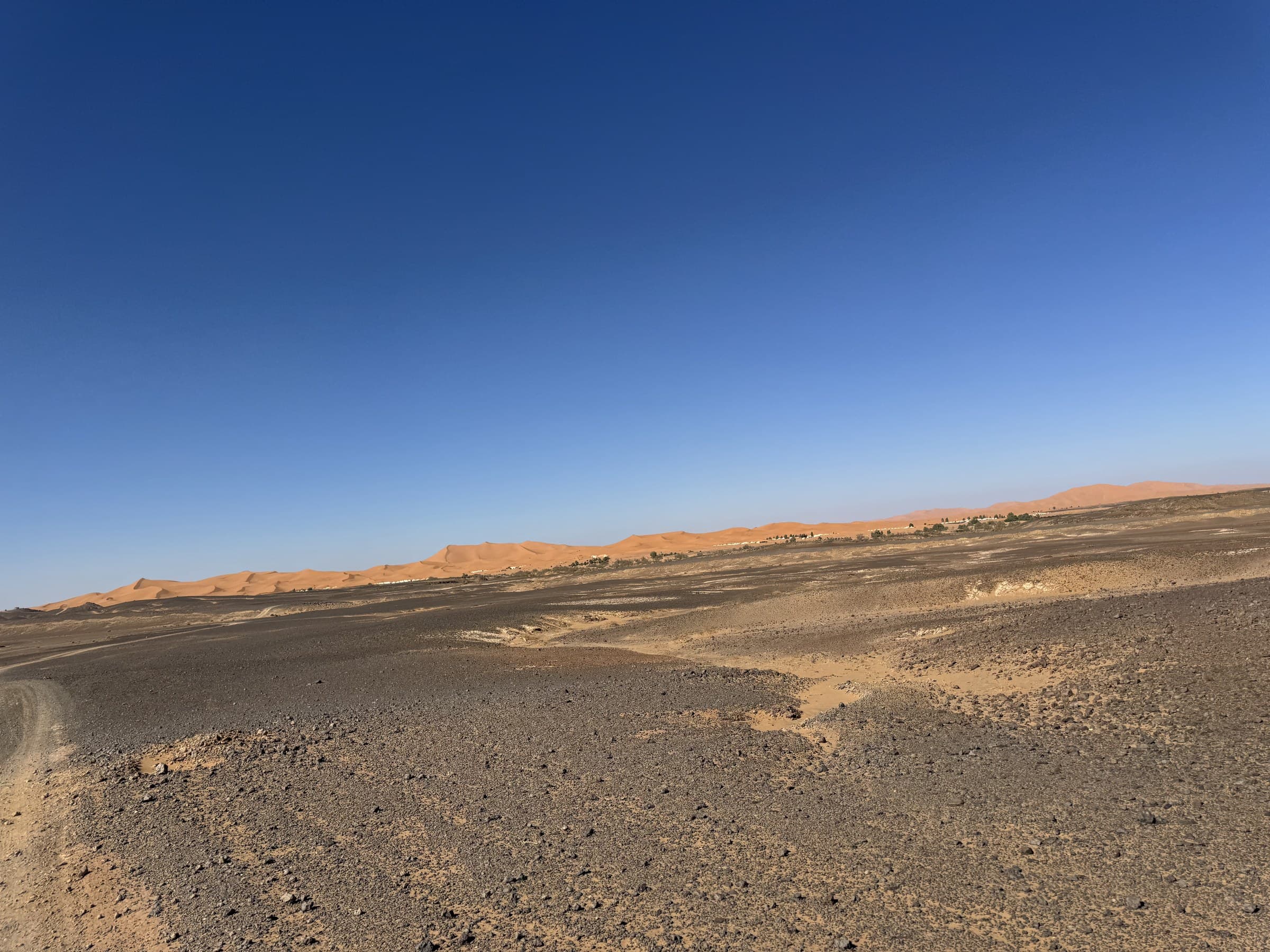 Dunas doradas del Erg Chebbi en Merzouga vistas desde el hamada rocoso bajo cielo azul intenso, Marruecos