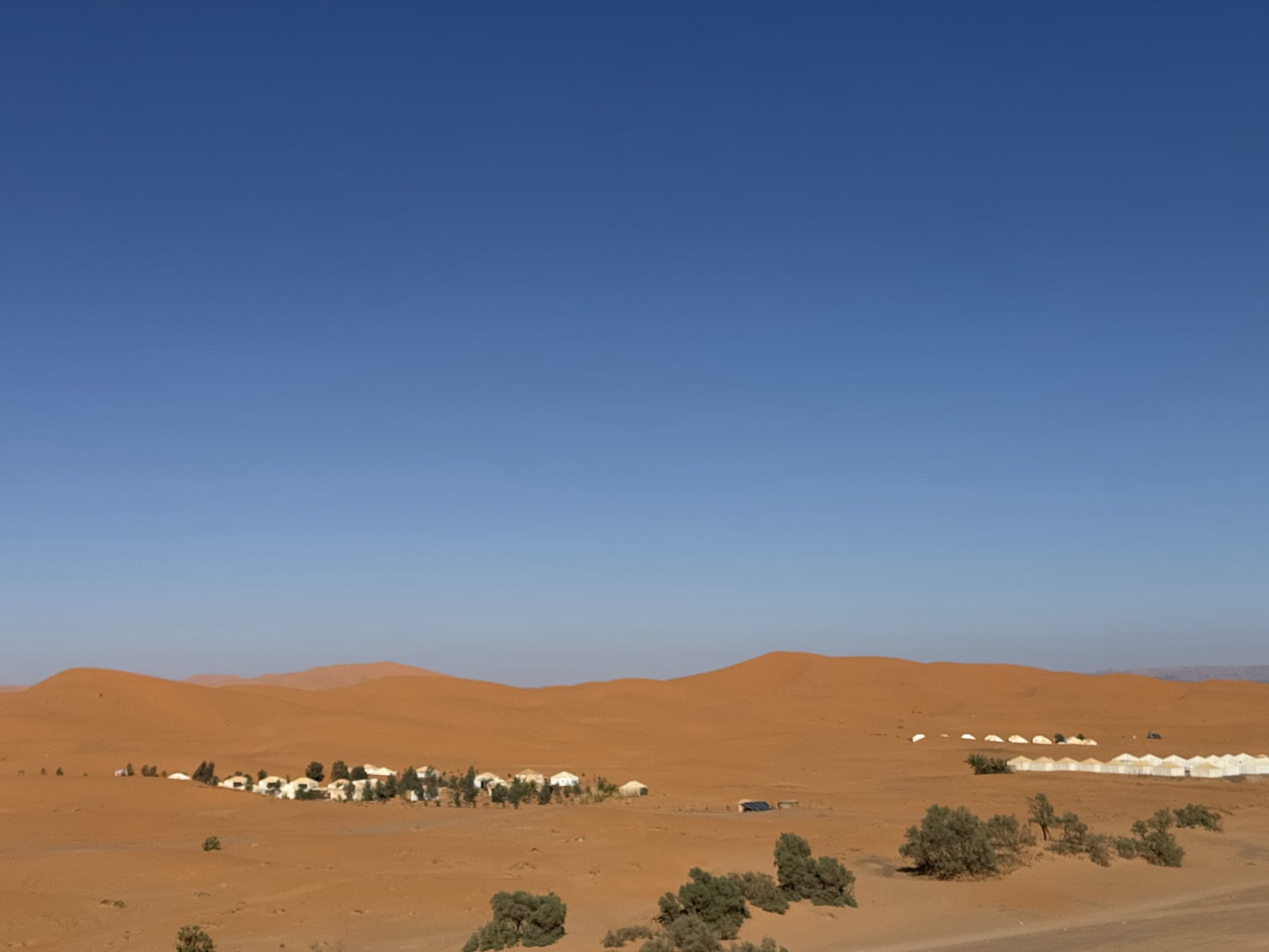 Campamento de jaimas blancas entre las dunas doradas del desierto de Merzouga, Sahara marroquí, bajo cielo azul