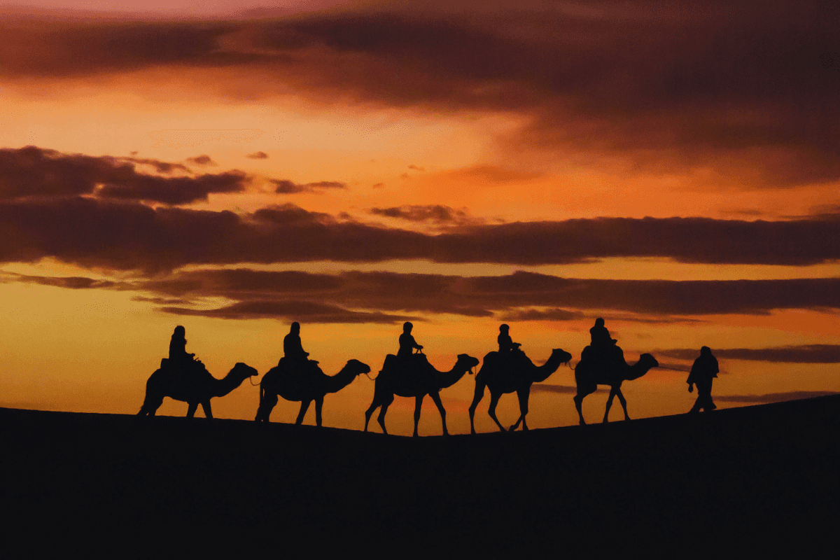 Día completo en el desierto
