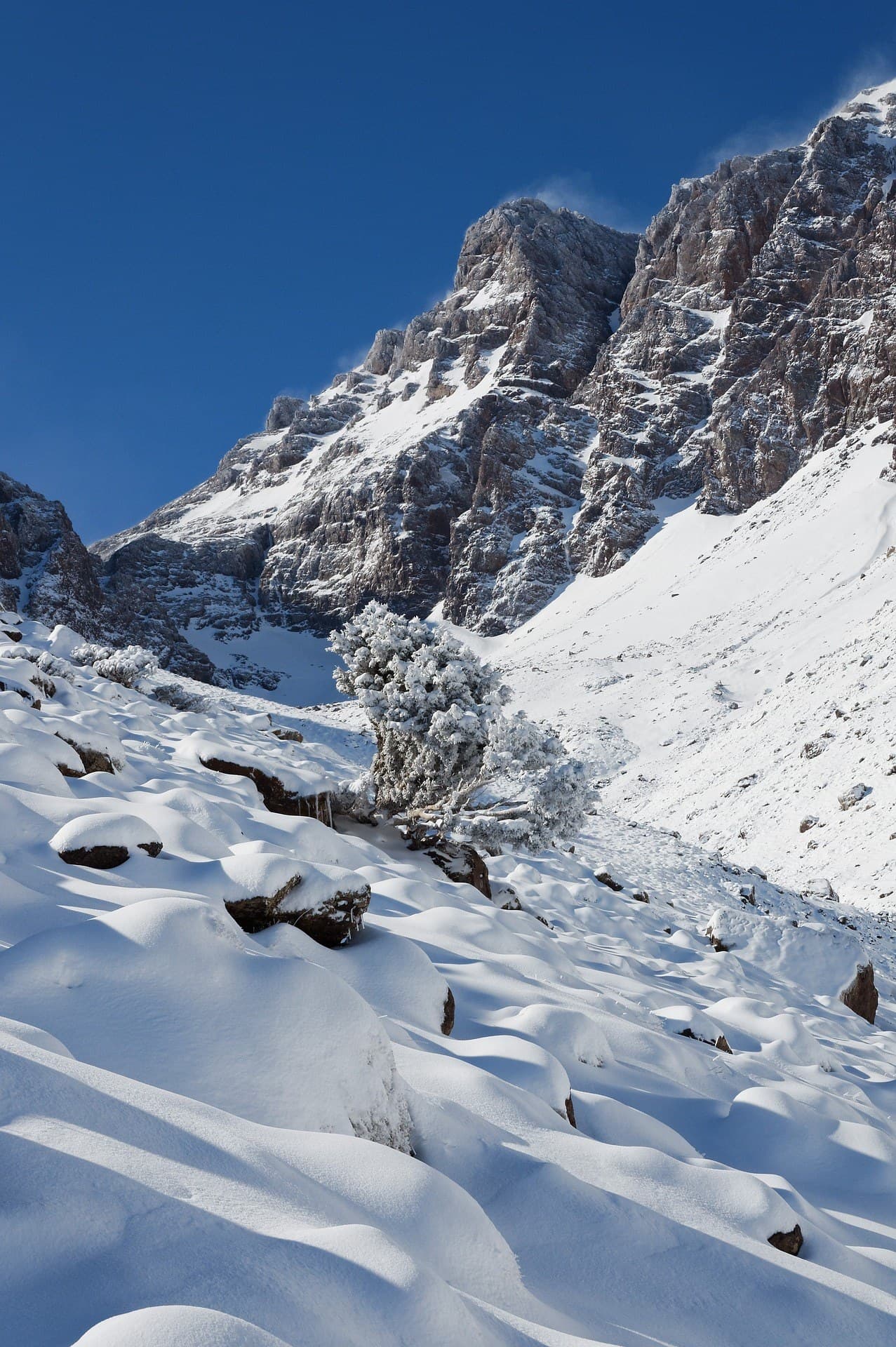 Montañas del Atlas nevadas en invierno con picos rocosos y árbol cubierto de nieve bajo cielo azul, Marruecos