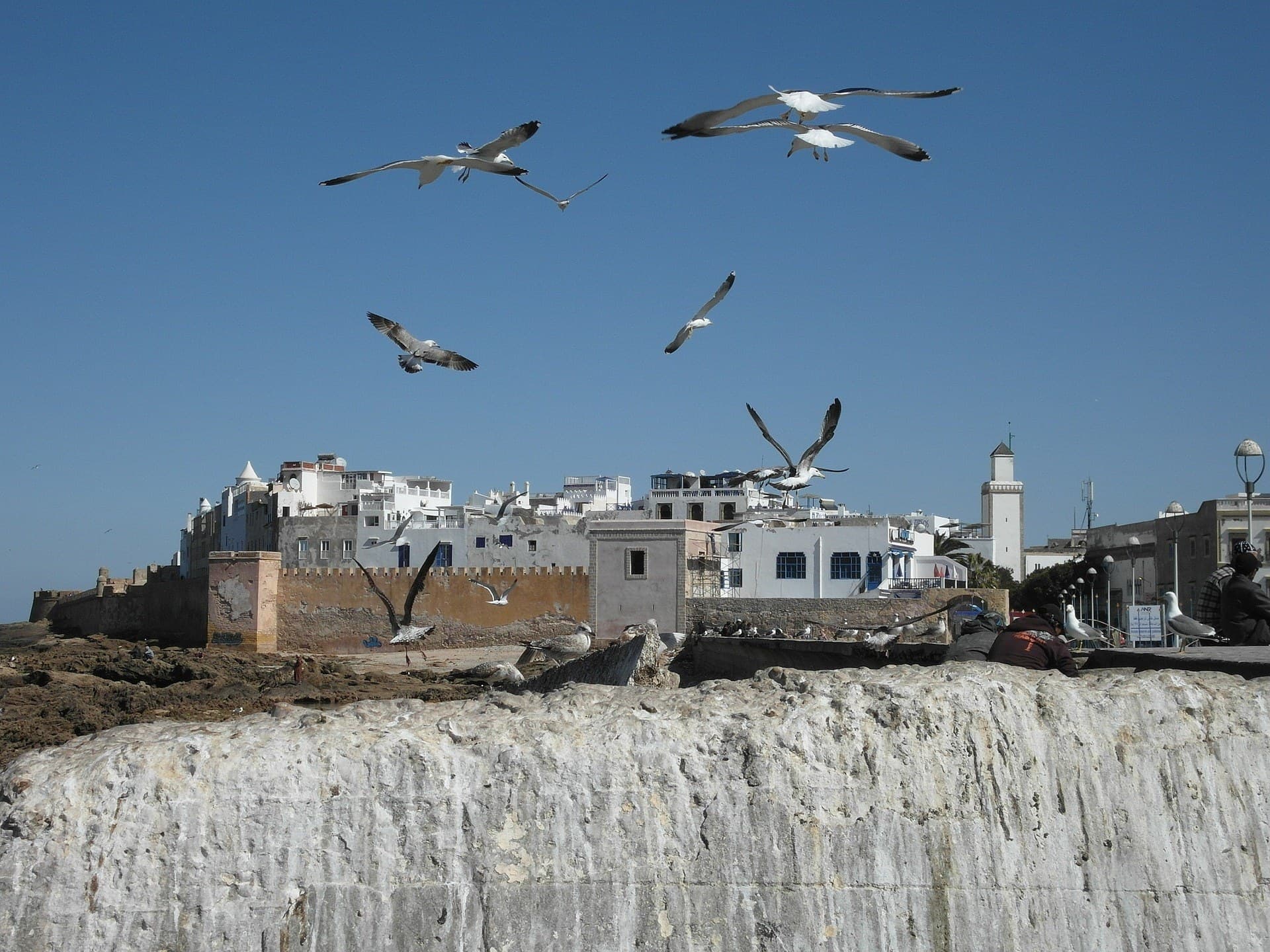 Gaviotas volando sobre las murallas y medina blanca de Essaouira con el Atlántico al fondo, Marruecos